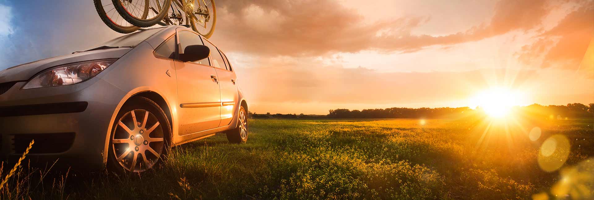 oem-butler.dk kontakt